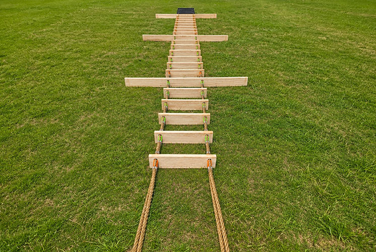 Pilot Ladders